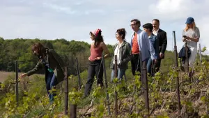 Задник к фильму "Шампанского!" #395818