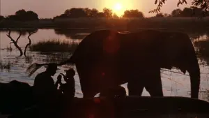 Задник к фильму "Сила личности" #428288