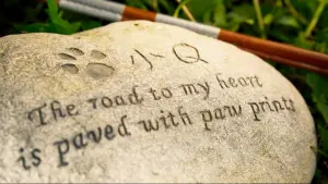 Задник к фильму "" #495351