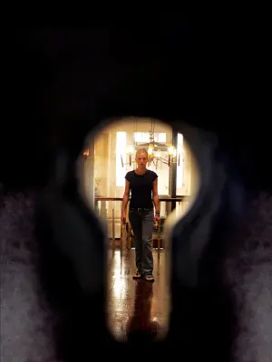 Постер к фильму "Ключ от всех дверей" #275875