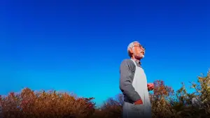 Задник к фильму "Хаяо Миядзаки и птица" #650423