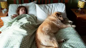 Задник к фильму "" #411147