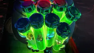 Задник к фильму "Черепашки-ниндзя: Погром мутантов" #622616