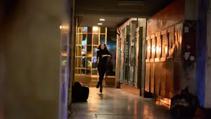 Задник к фильму "Досье «Чёрная канарейка»" #622999