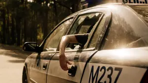 Задник к фильму "В лесу сегодня не до сна 2" #438855