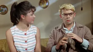 Задник к фильму "Операция «Ы» и другие приключения Шурика" #399813