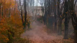 Задник к фильму "Величайший шоумен" #580215