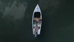 Видео к фильму Toxic Shark | Official Trailer