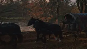 Задник к фильму "Дракула" #510070