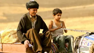 Задник к фильму "" #491498