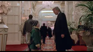 Задник к фильму "Один дома 2: Затерянный в Нью-Йорке" #567212