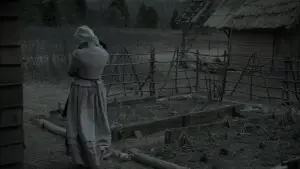 Задник к фильму "Ведьма" #600203