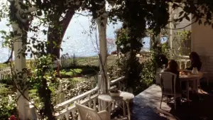 Задник к фильму "Практическая магия" #697218