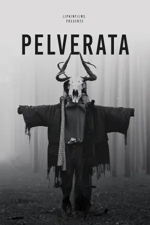 Постер к фильму "Pelverata" #936596