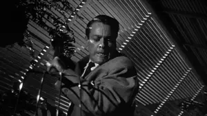 Задник к фильму "Вторжение похитителей тел" #715454