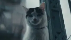 Задник к фильму "Тихое место: День первый" #563301