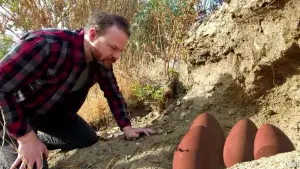 Задник к фильму "" #612182