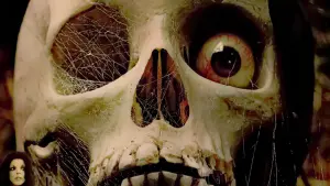 Задник к фильму "Байки из склепа" #362885