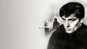 Задник к фильму "Рокко и его братья" #750835