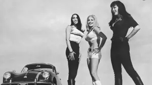 Задник к фильму "Быстрая Кошечка! Убей, Убей!" #467242