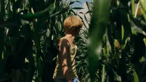 Задник к фильму "Спокойной ночи, мамочка" #269387