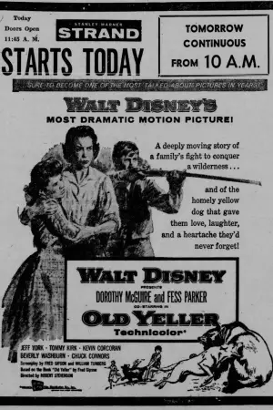 Постер к фильму "Старый Брехун" #714612