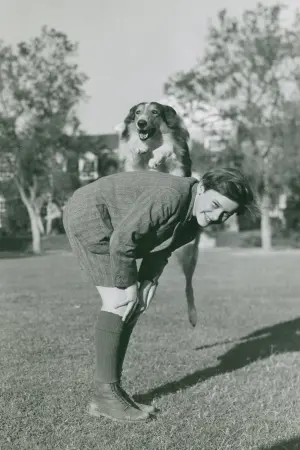 Постер к фильму "Лесси возвращается домой" #457032