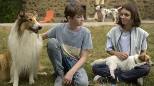 Задник к фильму "Лесси. Лохматый детектив" #503122