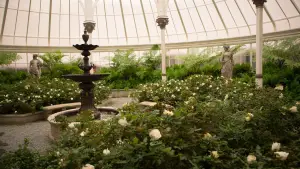 Задник к фильму "Голодные игры: Сойка-пересмешница. Часть 2" #634243