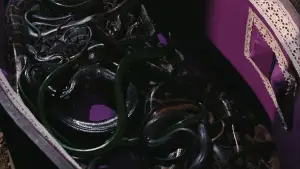 Задник к фильму "007: Живи и дай умереть" #645145