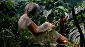 Задник к фильму "Memorias de un cuerpo que arde" #663503