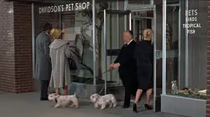 Задник к фильму "Птицы" #677210