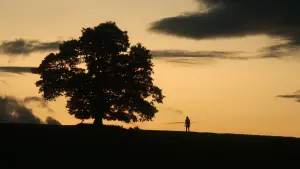 Задник к фильму "" #520764