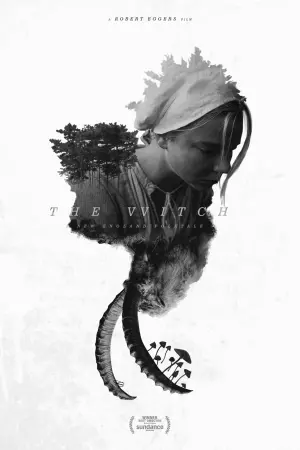 Постер к фильму "Ведьма" #66201