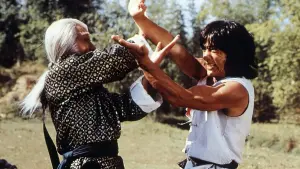 Задник к фильму "Бесстрашная гиена" #382330