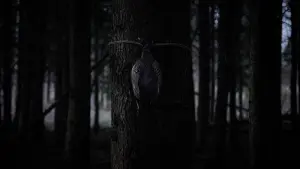 Задник к фильму "" #445154