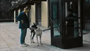 Задник к фильму "" #452456