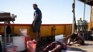 Задник к фильму "Хищные твари" #552637