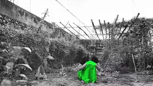 Задник к фильму "" #744599