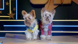 Задник к фильму "" #406174