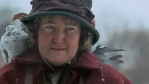 Задник к фильму "Один дома 2: Затерянный в Нью-Йорке" #567471