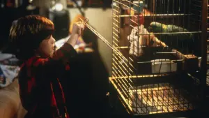 Задник к фильму "Один дома 3" #322108