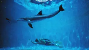 Задник к фильму "Голубая бездна" #213795