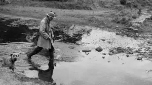 Задник к фильму "Исчезновение Йозефа Менгеле" #537705