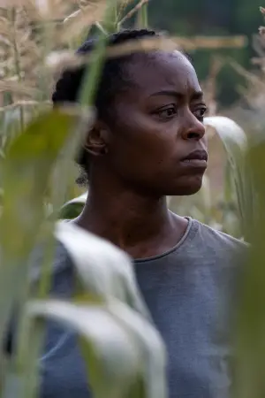 Постер к фильму "40 Акров" #596486