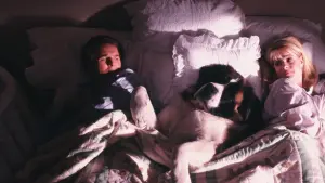 Задник к фильму "Бетховен" #329622