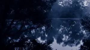 Задник к фильму "Солярис" #185196