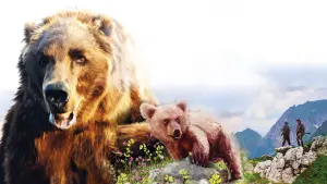 Задник к фильму "Медведь" #505127