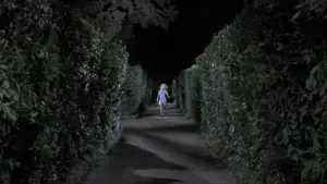 Задник к фильму "Четыре мухи на сером бархате" #283181