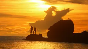 Задник к фильму "Джунгли. Райский переполох" #387661